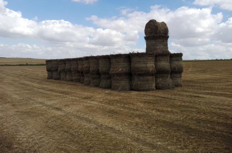 Rouleaux de lin, prêts à être entreposés dans un hangar