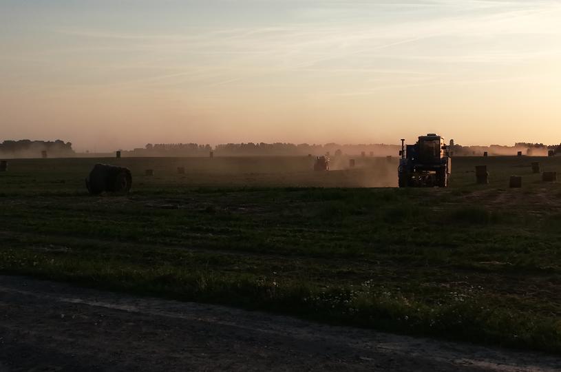 Récolte mécanique du lin à Wavalin