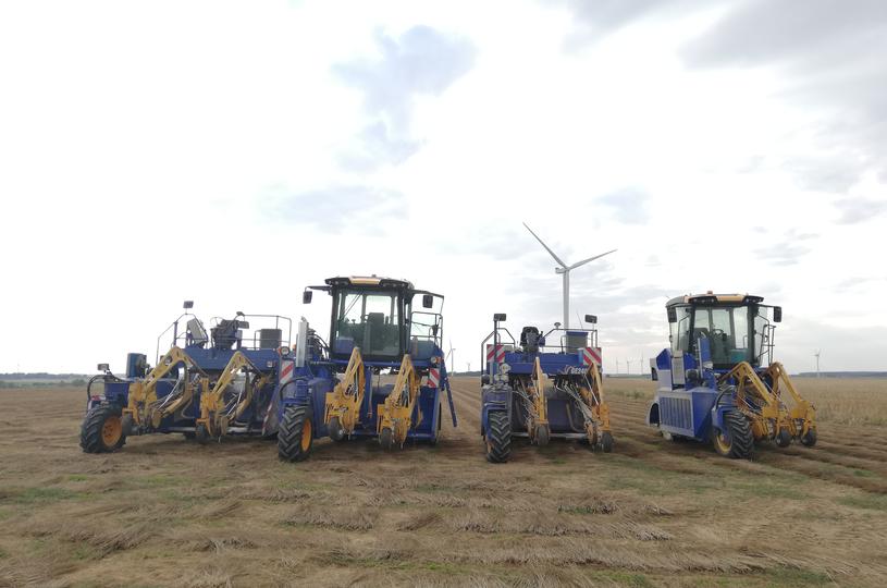 Récolte mécanique du lin à Wavalin